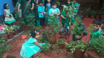 Montessori Gardening Day